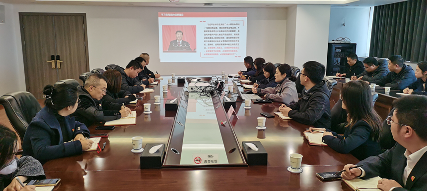 集團(tuán)黨委委員、副總經(jīng)理賀維維同志講授專題黨課